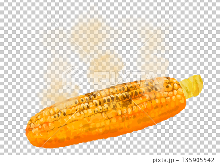 あつあつの焼きとうもろこしのイラスト 135905542