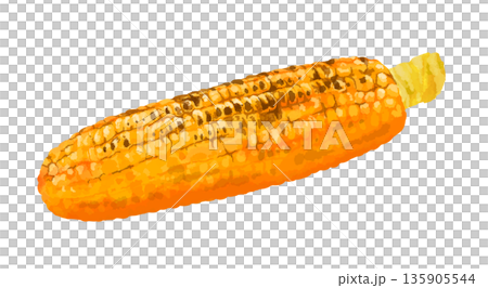 焼きとうもろこしのイラスト 135905544