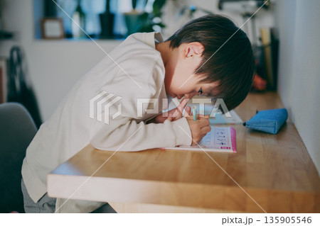 勉強する男の子 135905546