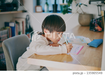 勉強する男の子 135905549