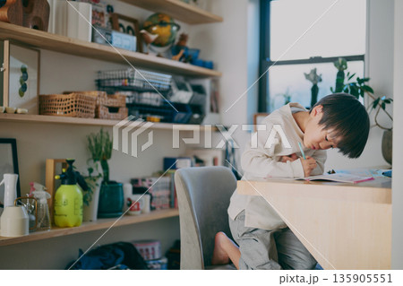 勉強する男の子 135905551