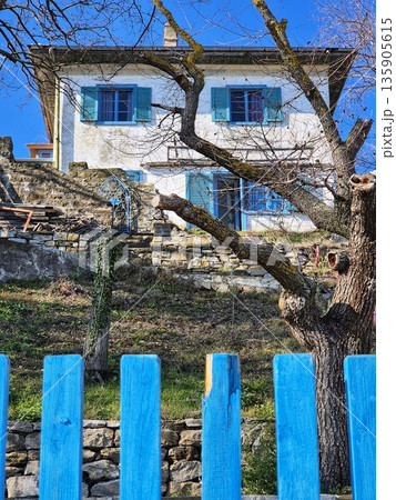 Seaside House with Bright Blue Shutters. Rural Coastal Cottage with Stone Wall. Old Maritime House Framed by a Bare Tree. 135905615