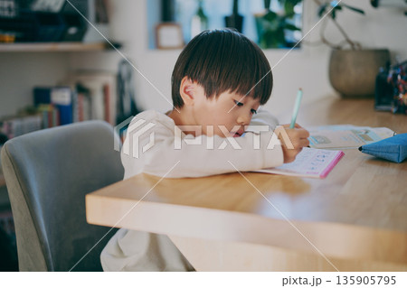 勉強する男の子 135905795