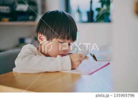 勉強する男の子 135905796