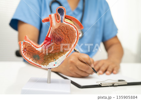 Stomach disease, doctor with anatomy model for study diagnosis and treatment in hospital. Stomach disease, doctor with anatomy model for study diagnosis and treatment in hospital. 135905884