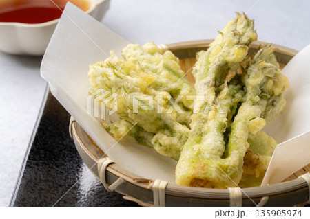 【春の味覚】タラの芽の天ぷら【長野県】 135905974