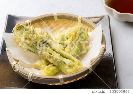 【春の味覚】タラの芽の天ぷら【長野県】 135905992