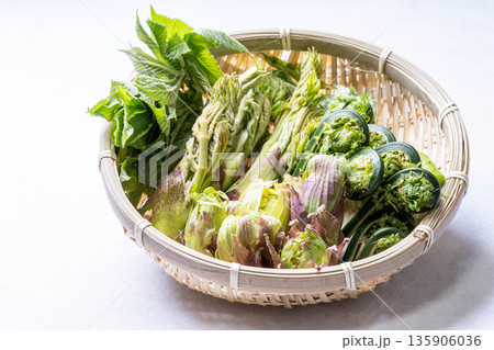 山菜の盛り合わせ　タラの芽　こごみ　コシアブラ　ふきのとう 135906036