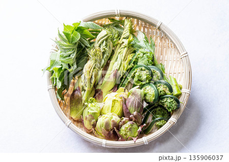 山菜の盛り合わせ　タラの芽　こごみ　コシアブラ　ふきのとう 135906037