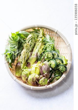 山菜の盛り合わせ　タラの芽　こごみ　コシアブラ　ふきのとう 135906038