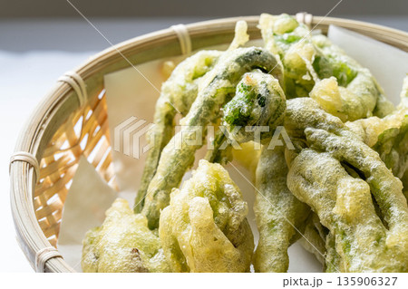 山菜の天ぷら盛り合わせ　タラの芽　こごみ　コシアブラ　ふきのとう 135906327