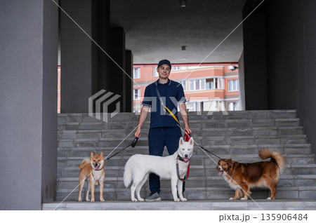 A man walks three different dogs. 135906484