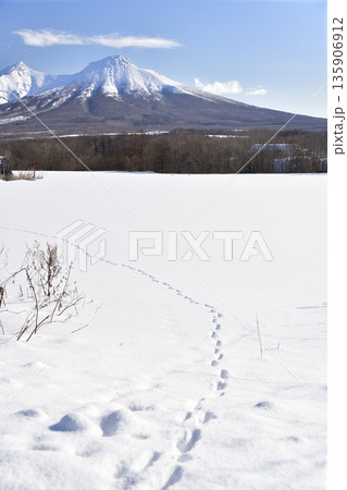 冬の北海道森町で雪の駒ヶ岳の風景を撮影 冬の北海道森町で雪の駒ヶ岳の風景を撮影 135906912