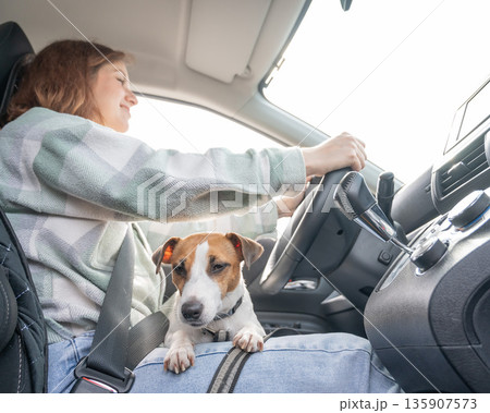 Caucasian woman traveling by car with her dog. Caucasian woman traveling by car with her dog. 135907573