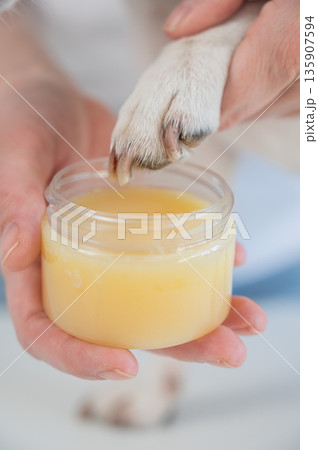 The owner puts wax on the dog's paws. The owner puts wax on the dog's paws. 135907594