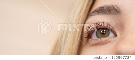 Close-up of a woman's eye after eyelash lamination procedure. Close-up of a woman's eye after eyelash lamination procedure. 135907724