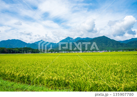 夏の田園風景《三重県 三重郡 菰野町 千草地区》 夏の田園風景《三重県 三重郡 菰野町 千草地区》 135907780