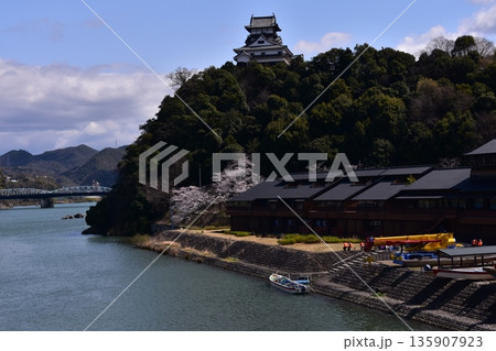 日本の愛知県の犬山市　春の犬山城と満開の桜　岸に停留中の木曽川の遊覧船　観光客が船に乗り込む前の様子 135907923