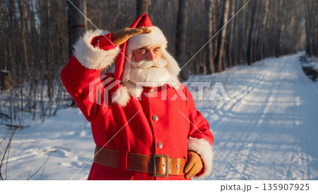 Santa Claus walks through the winter forest. Santa Claus walks through the winter forest. 135907925