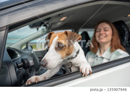 Caucasian woman traveling by car with her dog.  135907946