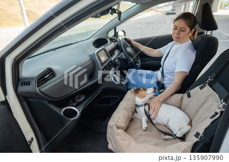 Caucasian woman travels by car with her dog. Jack Russell Terrier in a special car seat.  135907990
