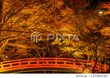 森町の遠江国一宮小國神社の紅葉の風景(静岡県) 135908180