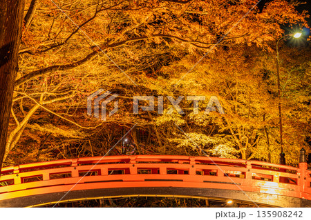 森町の遠江国一宮小國神社の紅葉の風景(静岡県) 135908242