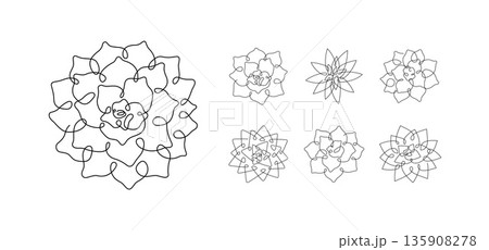 Set of Echeveria icons. Succulent variations. 135908278