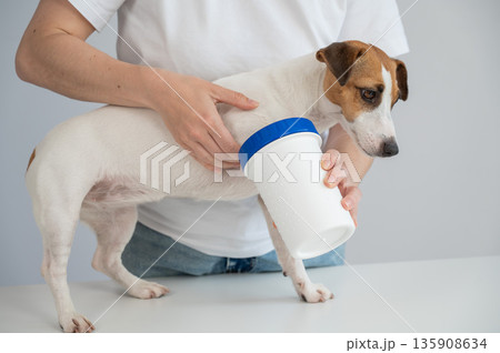The owner washes the dog's paws in a special device. The owner washes the dog's paws in a special device. 135908634