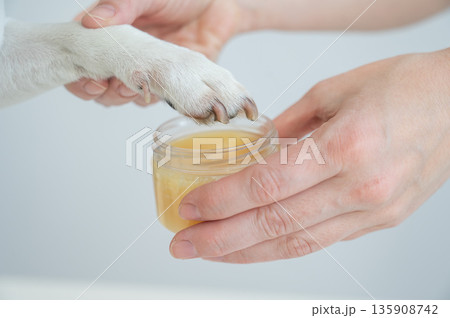 The owner puts wax on the dog's paws.  135908742