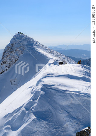 厳冬期の雪山登山・積雪期の谷川岳稜線（山頂付近トマの耳） 135909387