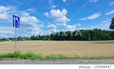 Road Sign in Rural Field. Blue highway sign with arrows in golden wheat field under clear blue sky. Road Sign in Rural Field. Blue highway sign with arrows in golden wheat field under clear blue sky. 135909447
