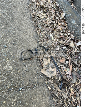 道端に捨てられた壊れたメガネ 135909598