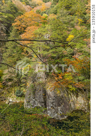 日本　広島県山県郡安芸太田町にある峡谷、三段峡の黒淵の岩壁と紅葉した木々 135910158