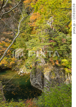 日本 広島県山県郡安芸太田町にある峡谷、三段峡の黒淵の岩壁と紅葉した木々 日本 広島県山県郡安芸太田町にある峡谷、三段峡の黒淵の岩壁と紅葉した木々 135910159