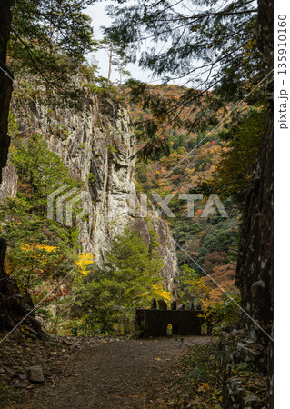 日本　広島県山県郡安芸太田町にある峡谷、三段峡の黒淵の岩壁と紅葉した木々 135910160