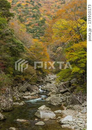 日本　広島県山県郡安芸太田町にある峡谷、三段峡の黒淵の岩壁と紅葉した木々 135910173