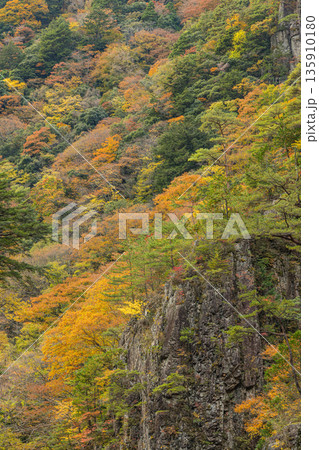 日本 広島県山県郡安芸太田町にある峡谷、三段峡の黒淵の岩壁と紅葉した木々 日本 広島県山県郡安芸太田町にある峡谷、三段峡の黒淵の岩壁と紅葉した木々 135910180