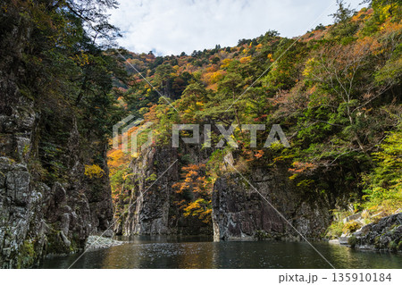 日本　広島県山県郡安芸太田町にある峡谷、三段峡の黒淵の岩壁と川沿いの紅葉した木々 135910184