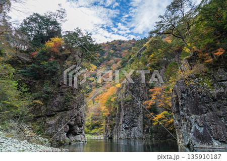 日本 広島県山県郡安芸太田町にある峡谷、三段峡の黒淵の渡し舟から眺める岩壁と紅葉した木々 日本 広島県山県郡安芸太田町にある峡谷、三段峡の黒淵の渡し舟から眺める岩壁と紅葉した木々 135910187