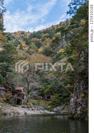 日本 広島県山県郡安芸太田町にある峡谷、三段峡の黒淵の渡し舟から眺める岩壁と紅葉した木々 日本 広島県山県郡安芸太田町にある峡谷、三段峡の黒淵の渡し舟から眺める岩壁と紅葉した木々 135910188