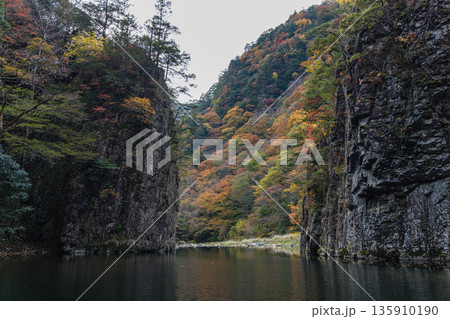 日本　広島県山県郡安芸太田町にある峡谷、三段峡の黒淵の渡し舟から眺める岩壁と紅葉した木々 135910190