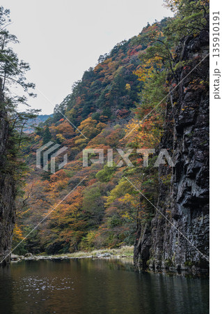 日本 広島県山県郡安芸太田町にある峡谷、三段峡の黒淵の渡し舟から眺める岩壁と紅葉した木々 日本 広島県山県郡安芸太田町にある峡谷、三段峡の黒淵の渡し舟から眺める岩壁と紅葉した木々 135910191