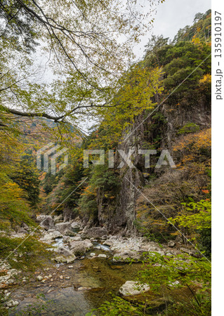 日本 広島県山県郡安芸太田町にある峡谷、三段峡の天狗岩と紅葉した木々 日本 広島県山県郡安芸太田町にある峡谷、三段峡の天狗岩と紅葉した木々 135910197