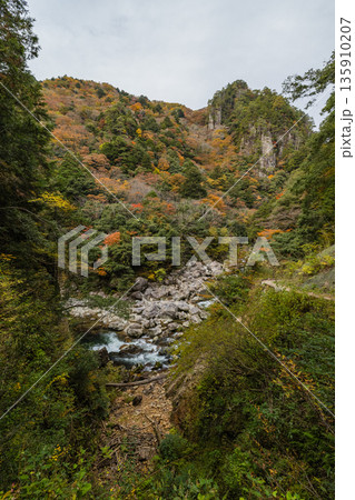 日本 広島県山県郡安芸太田町にある峡谷、三段峡の天狗岩と紅葉した木々 日本 広島県山県郡安芸太田町にある峡谷、三段峡の天狗岩と紅葉した木々 135910207
