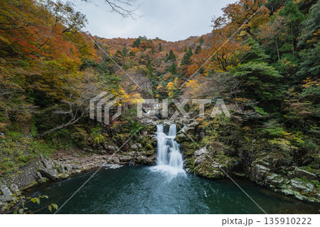 日本 広島県山県郡安芸太田町にある峡谷、三段峡の三段滝と紅葉した木々 日本 広島県山県郡安芸太田町にある峡谷、三段峡の三段滝と紅葉した木々 135910222