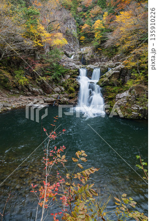 日本　広島県山県郡安芸太田町にある峡谷、三段峡の三段滝と紅葉した木々 135910226