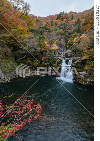 日本　広島県山県郡安芸太田町にある峡谷、三段峡の三段滝と紅葉した木々 135910227
