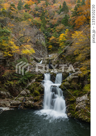 日本　広島県山県郡安芸太田町にある峡谷、三段峡の三段滝と紅葉した木々 135910230