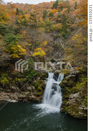 日本　広島県山県郡安芸太田町にある峡谷、三段峡の三段滝と紅葉した木々 135910231